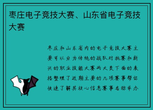 枣庄电子竞技大赛、山东省电子竞技大赛